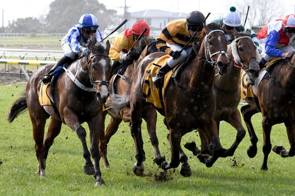 Local scores in New Plymouth feature