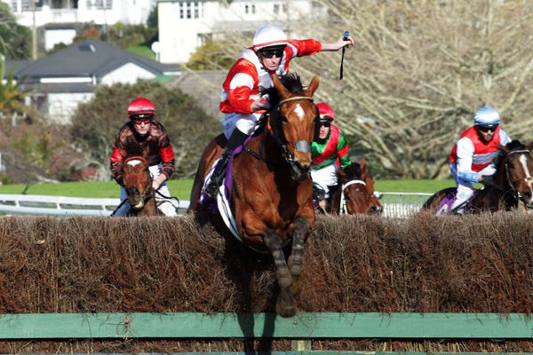 Lacustre takes out Pakuranga Hunt Cup