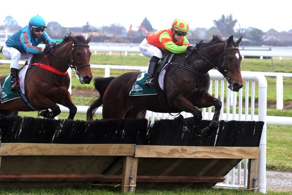 Fannin jumps at chance to ride Laekeeper
