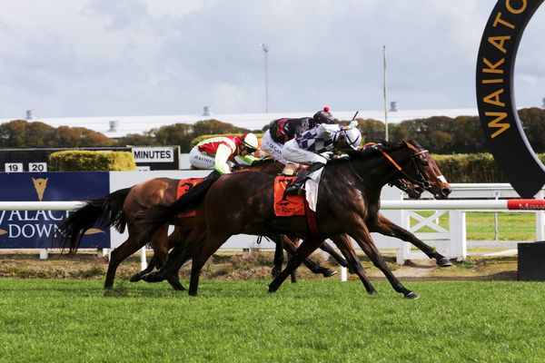 Lambrusco takes step up to open class in his stride