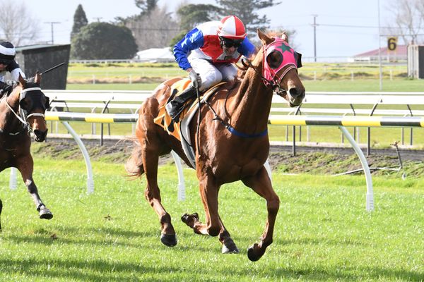 Livamol Classic on the cards for Mauna Kea