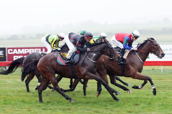 Triple Tarzino threat for Team Rogerson