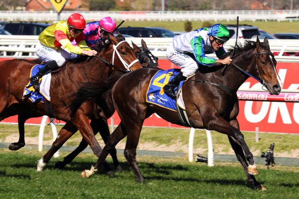 Class rise for Pendant after Caulfield win
