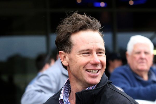 Something about Tavistock 4YO