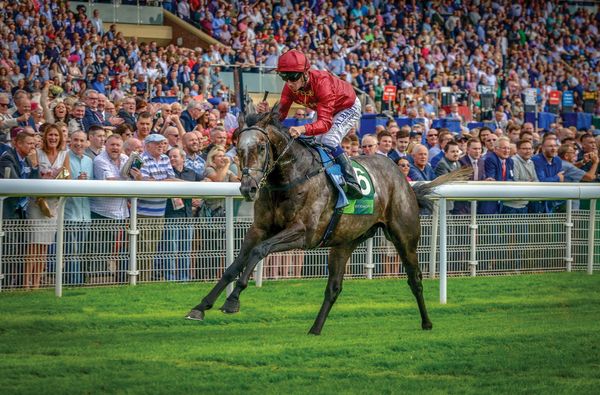 Roaring Lion loses battle with colic