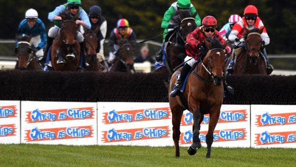 Tallyho Twinkletoe jumps to National glory