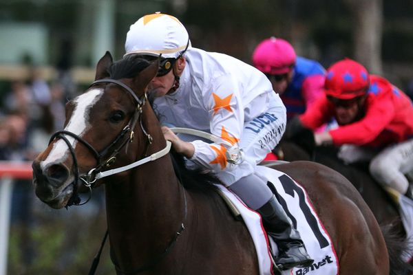 Tavisan lands betting move at The Valley