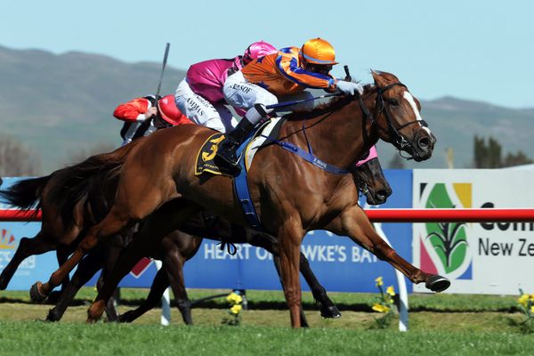 Te Akau duo to go head-to-head at Te Rapa