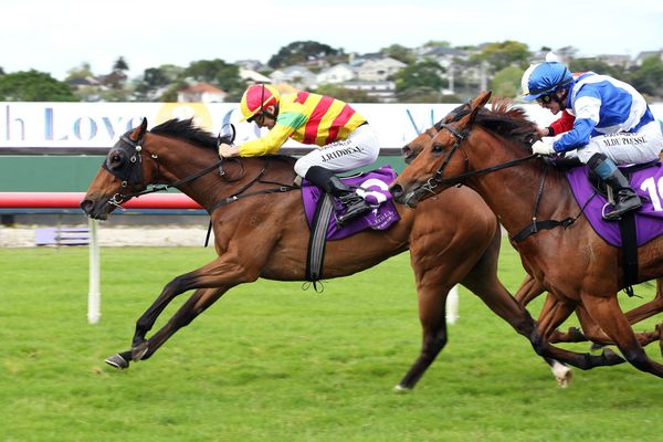 Waikato pair Lock in on New Plymouth targets