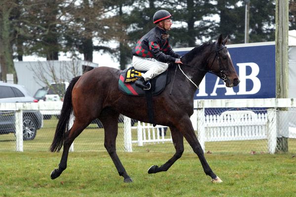 Sydney targets for Volpe Veloce