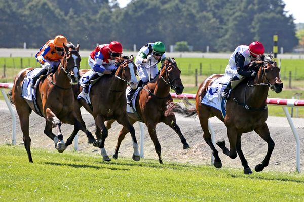 Plans up in the air for talented mare