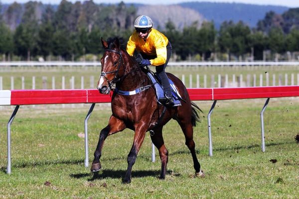 Guineas contenders head Autridge’s spring hopes