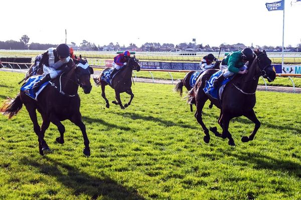 Show-jumping prize paves way to Winter Cup breeding success