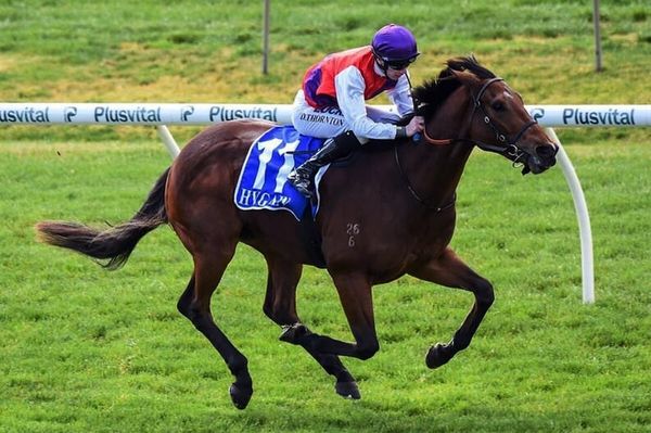 Charm spirit 3YOs clash at Flemington