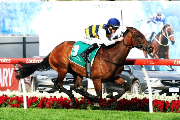 Group Three assignment for Aloisia