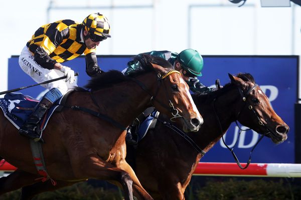 Aretha grabs Hastings feature in desperate finish