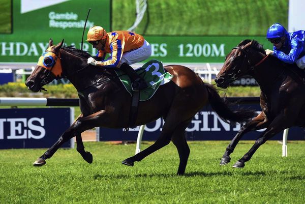 Avantage to back-up in Shannon Stakes