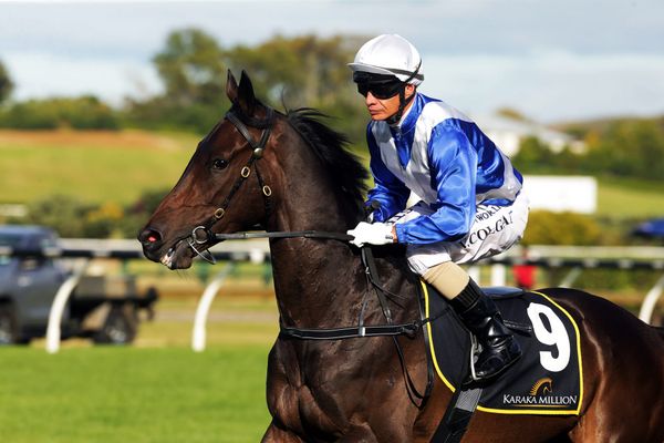Cooksley has good opinion of Blackrocksdetox