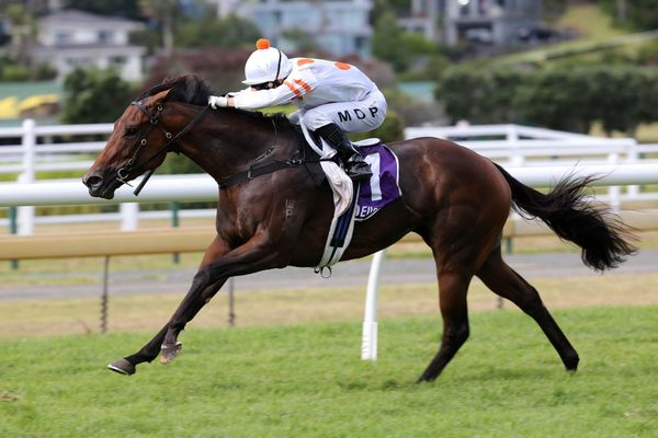 US$4.1 million for Bounding colt