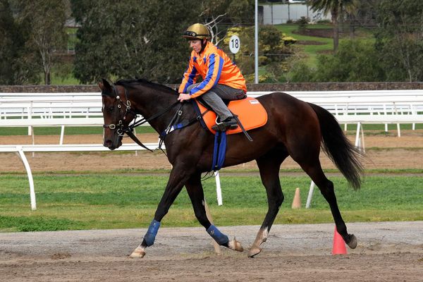 Flemington first-up for Caliburn