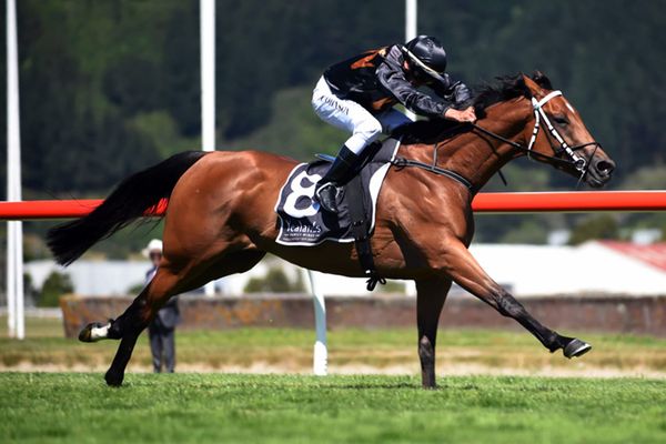 Consensus on track for Australian campaign
