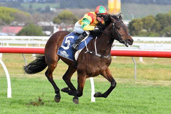 Exciting three-year-old Hong Kong bound