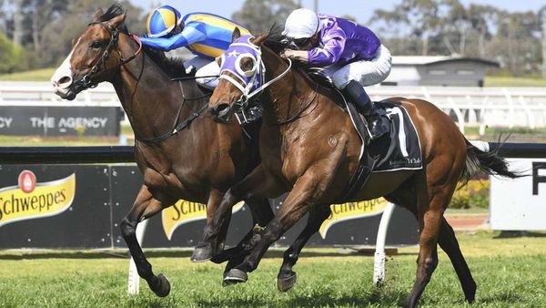 Shock Alert delivers at Rosehill