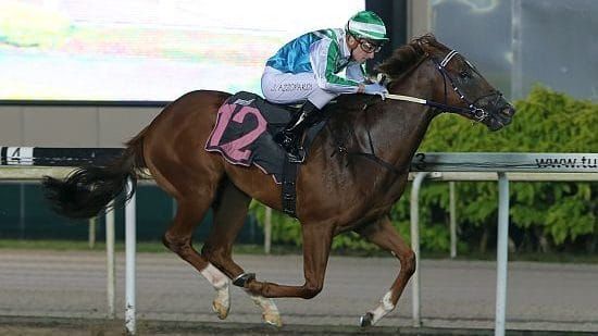 Tom Cat off like a lear jet on debut