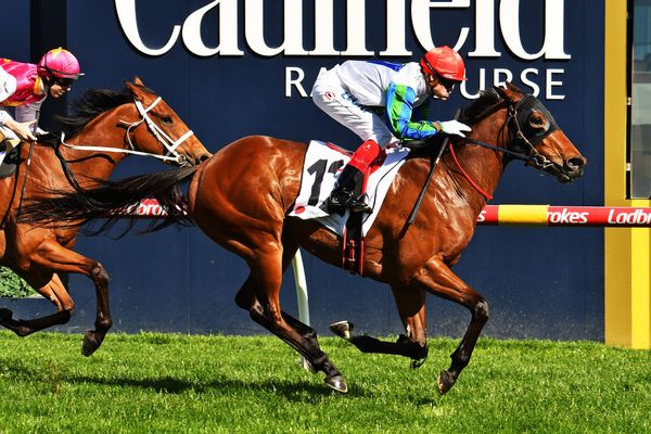 O'Brien and Waikato Stud keep on winning