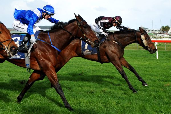 Greene heads to Wanganui to flaunt star filly