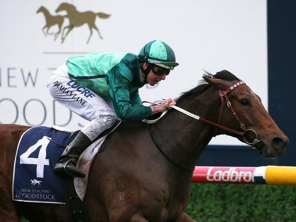 Underwood next step for Humidor, Kenenda