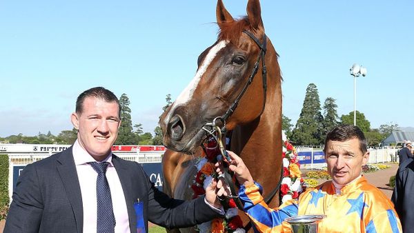 Gallen beats odds for Cox Plate runner