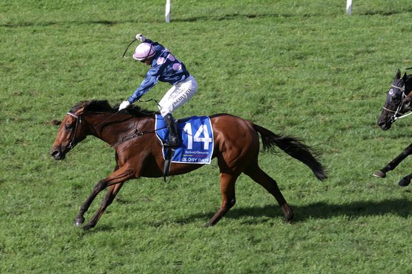 JRA Cup assignment for Glory Days