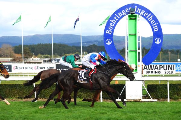 Herengawe proves too tough in Awapuni feature