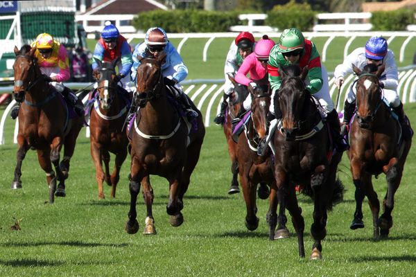 Hurry Cane gunning for Jericho golden ticket
