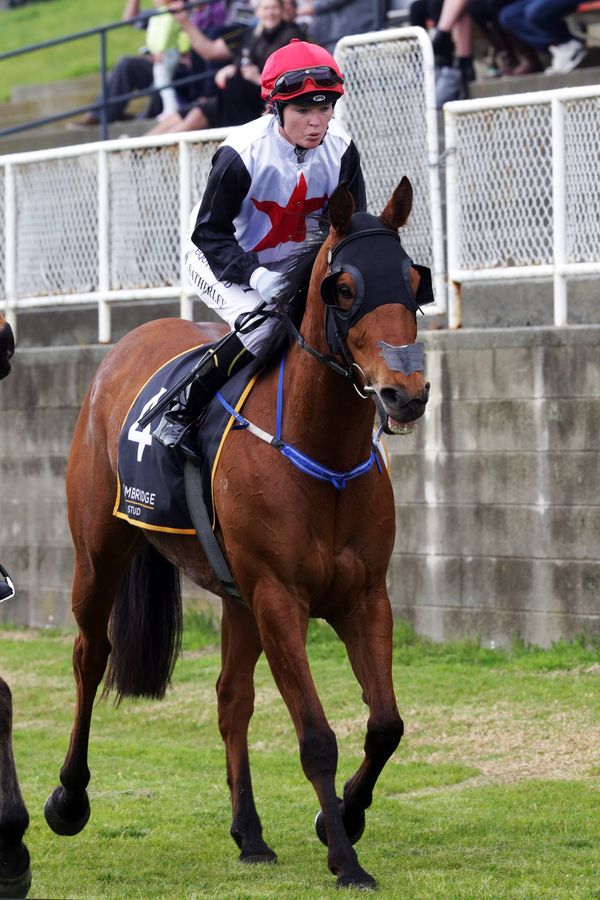 Lucyinrio springs minor upset at Ruakaka