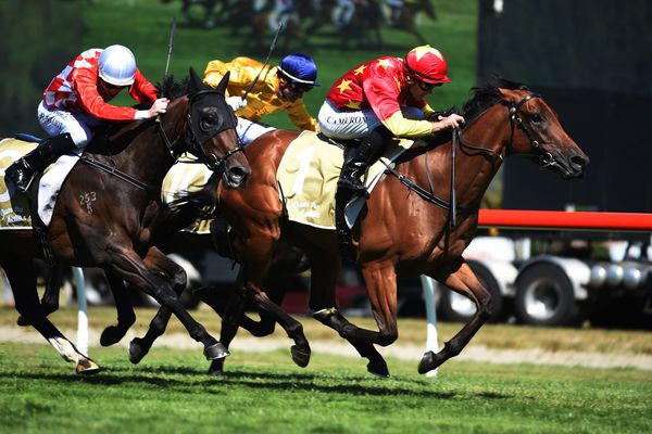 Sir Rupert Clarke first-up for Madison County