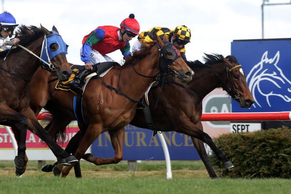 Manchu boosts Group One hopes