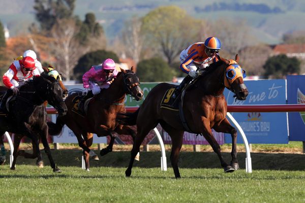 Melody Belle keeps Triple Crown dream alive with Windsor Park Plate victory