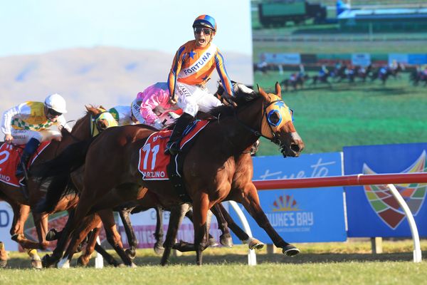 Te Akau stars set to shine