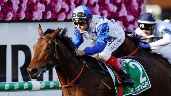 The Bostonian set for spring return in G1