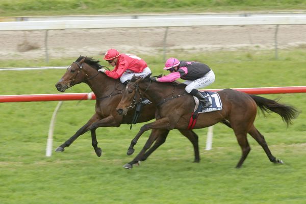 Clotworthy stable on a roll