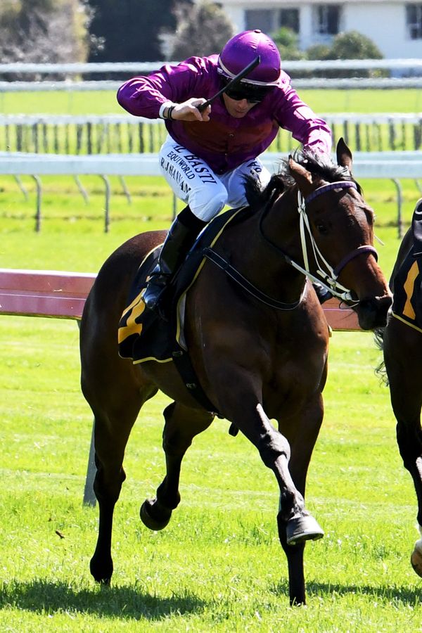 Platinum Dubai wins eventful 2YO race