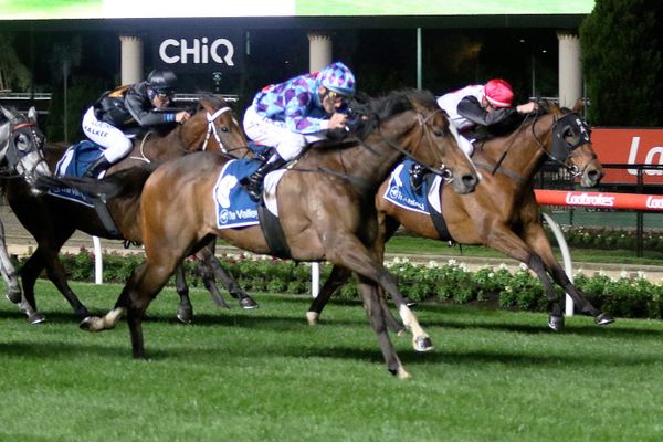 Princess Jenni set to shine in Empire Rose