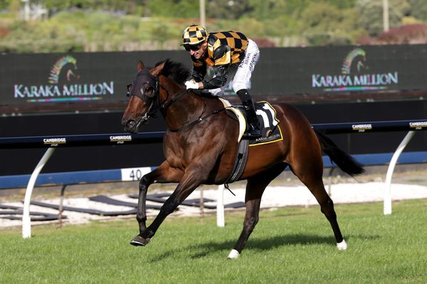Probabeel on target for Flight Stakes
