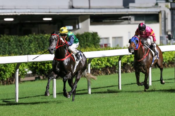 Zac Purton seeks Reliable hat-trick