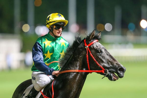 Reliable Team sights a Happy Valley hat-trick