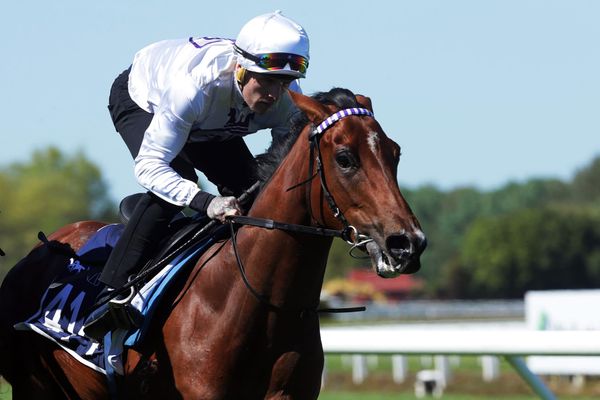 Thousand Guineas Prelude for Saone