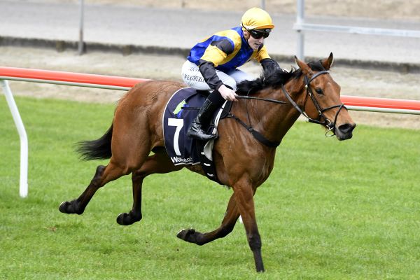 Father and son combine for win