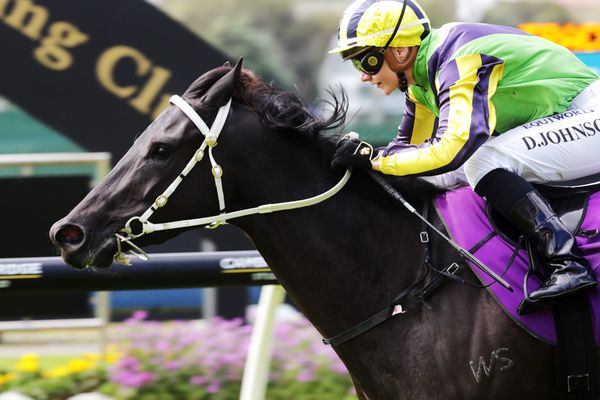 Sorrentina delivers with impressive Ellerslie effort